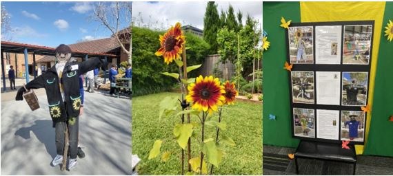 sunflowers.JPG (Moderate)