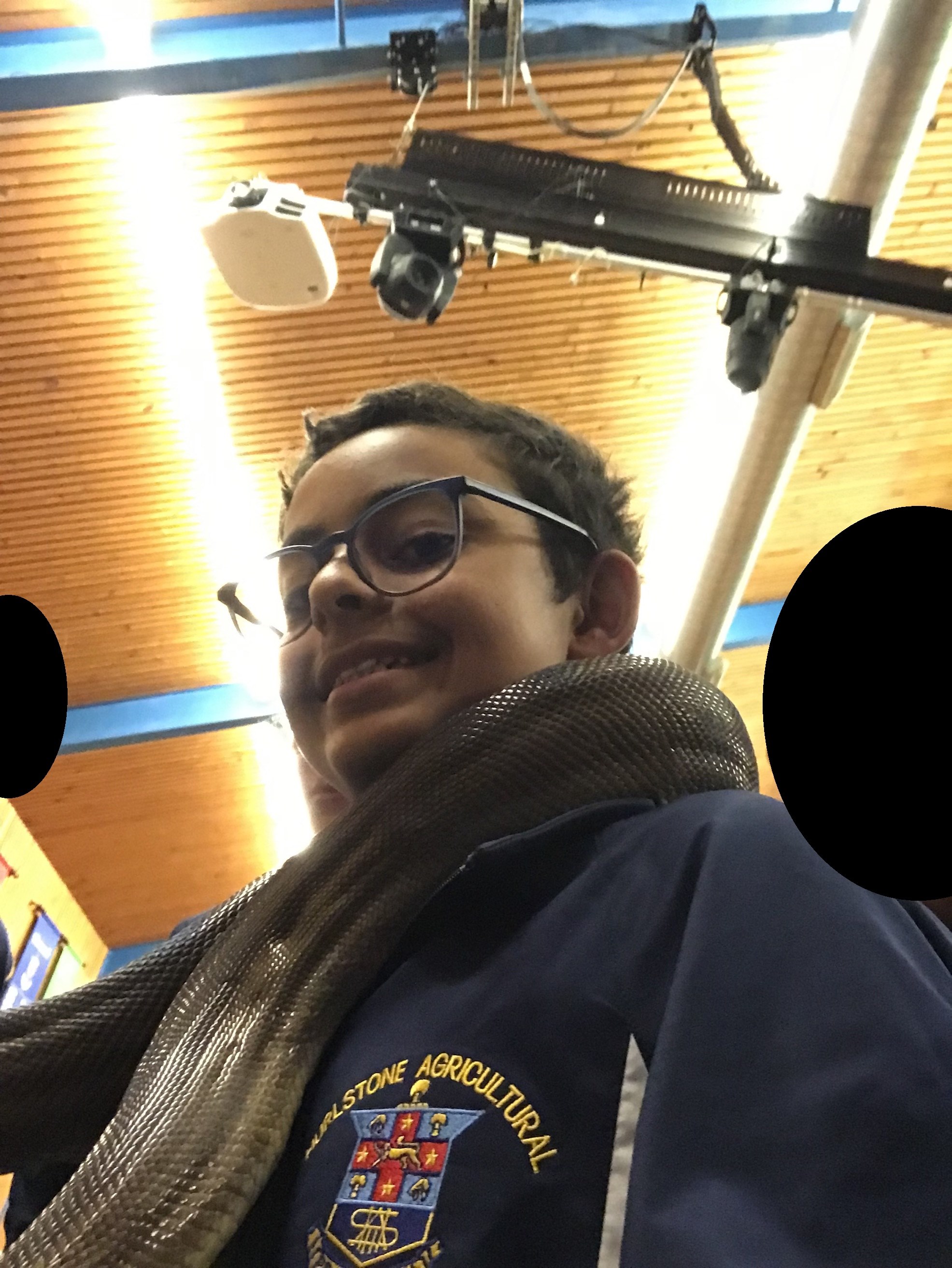 Patrick S olive python.png