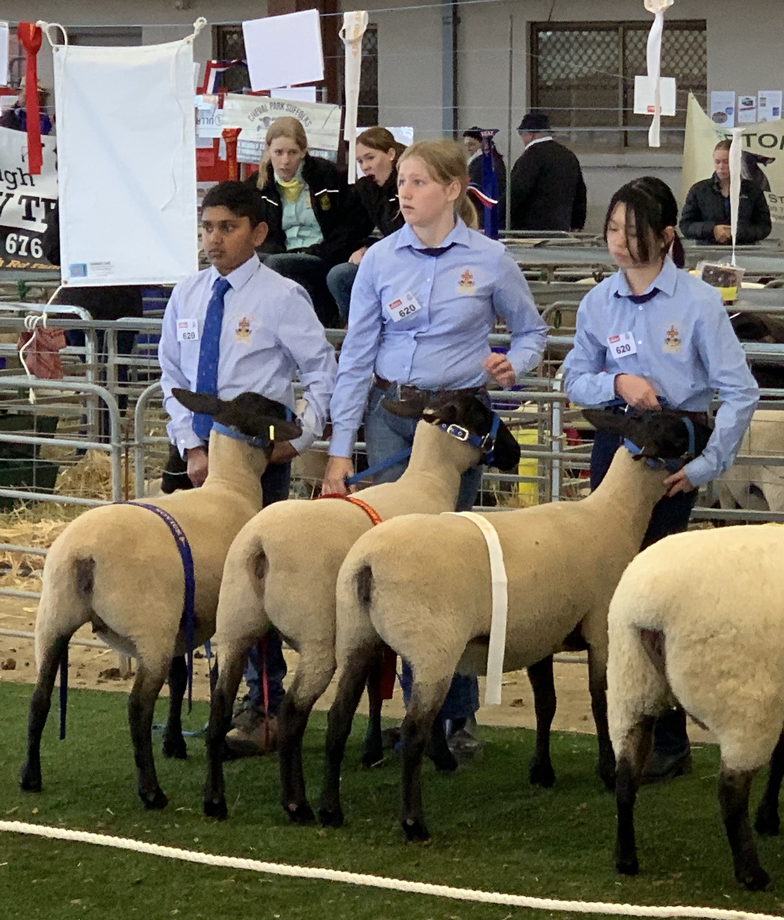Dubbo Show 2023 5.jpg