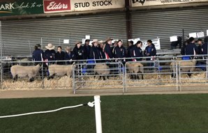 Picture2.png