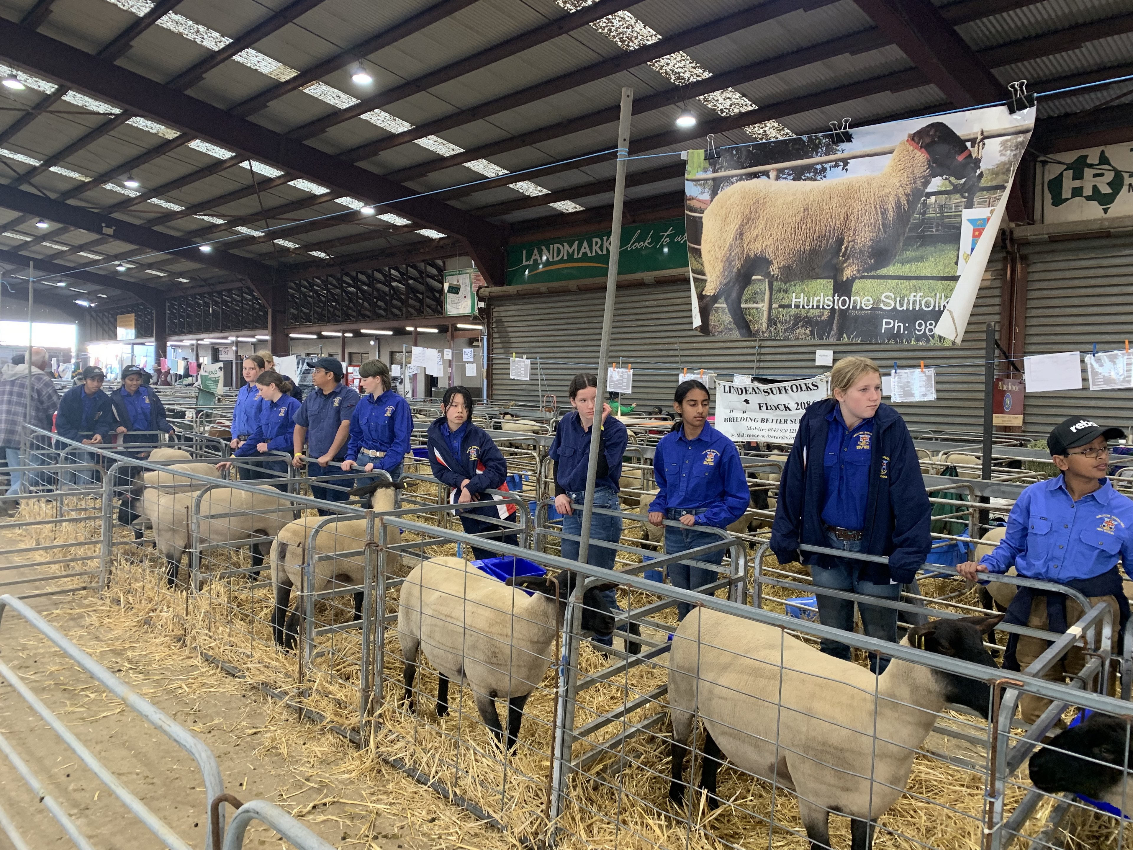 Dubbo Show 2023 2.jpg