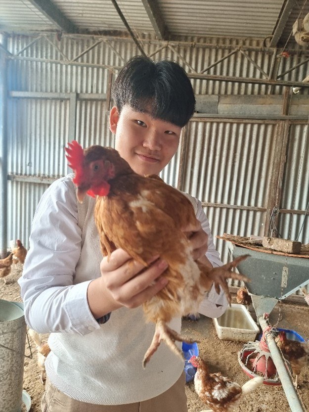 BMSKorea5.jpg